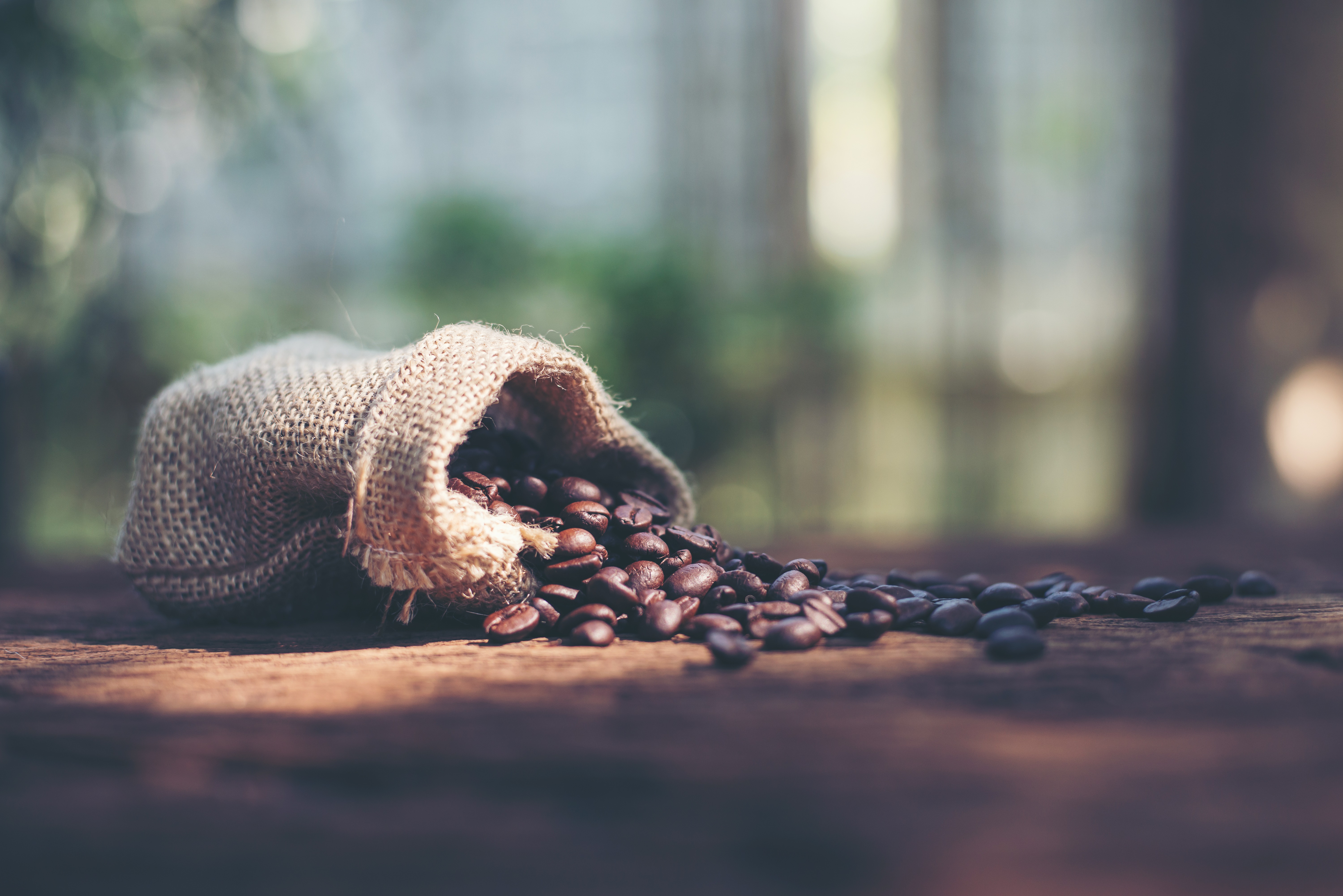 Café sostenible: tu elección diaria que beneficia al mundo