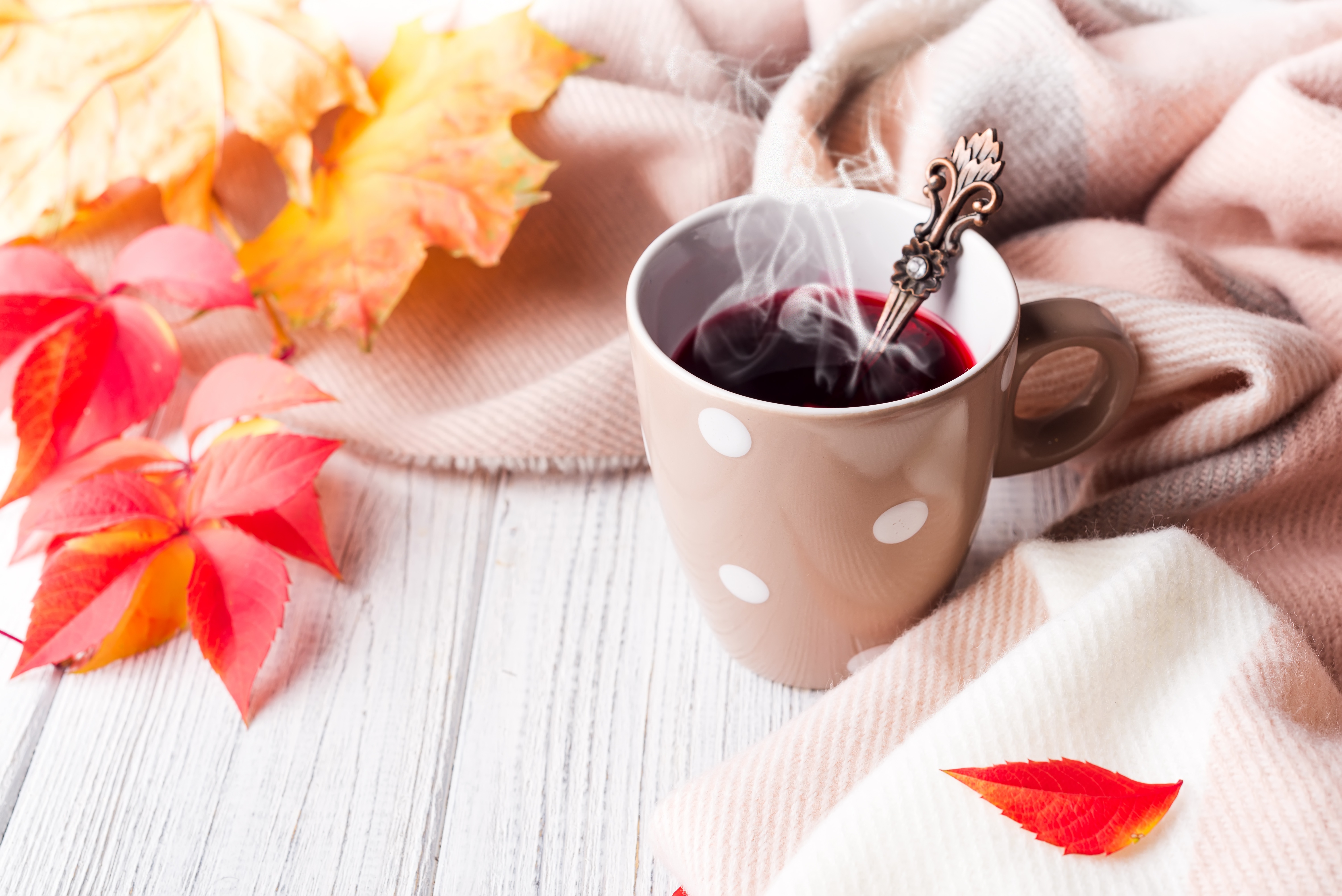 5 Infusiones para regalarle calma a tu alma